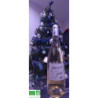 Muscat de Noël Bio 2022